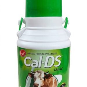 Geo Cal DS