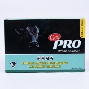 Geo Pro